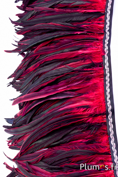 Col coq bordure argentée - long. plumes 25-32 cm - noir-carmin